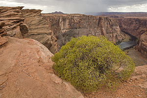 Utah-land